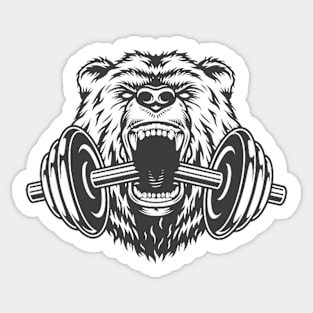 gym bear Sticker